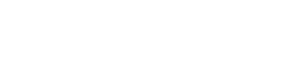 IFDM Logo