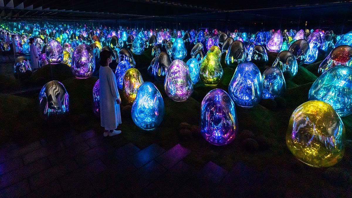 Moss Garden, Resonating Microcosms of Life - Solidified Light Color by teamLab