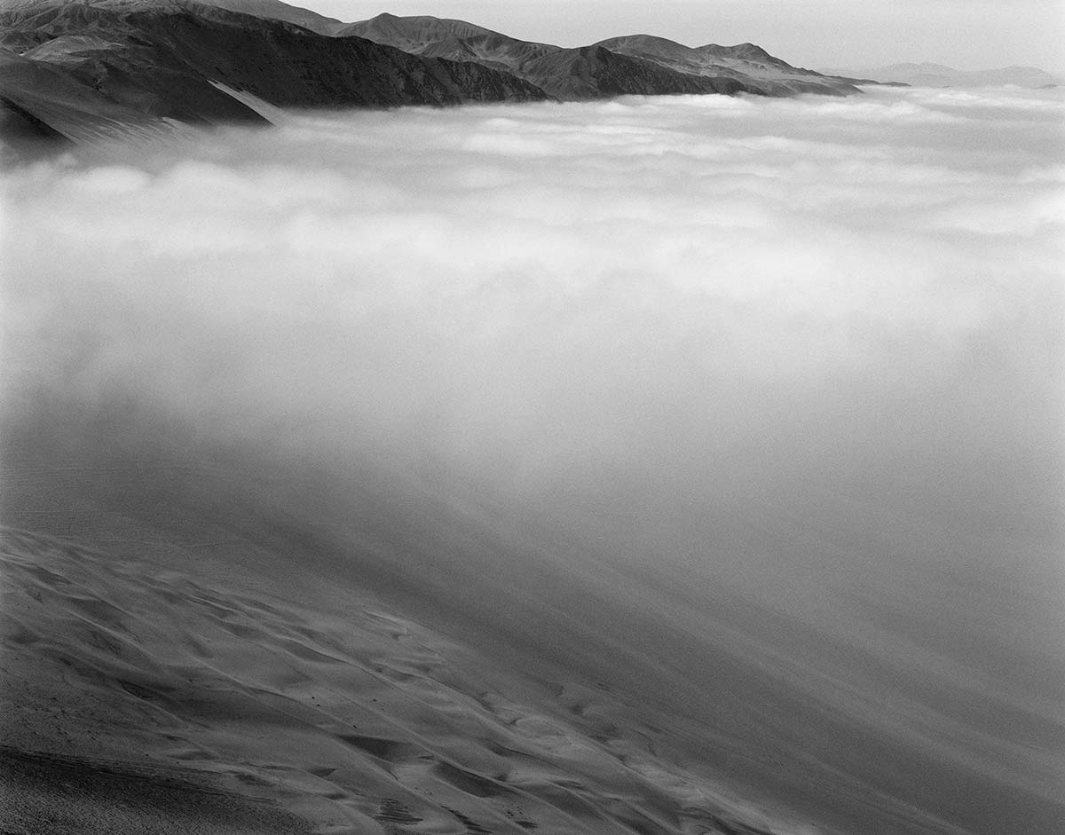 Fog Oasis, Alto Patache, Atacama Desert, Chile, 2013